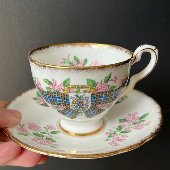 Nova Scotia Tartan  Teacup and Saucer Fine Bone China Vintage Gilt Edge Tea Cup - Picture 7 of 7